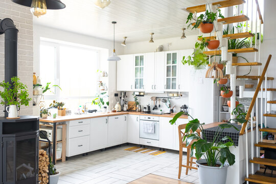 Bright kitchen interior with modular staircase, lots of potted plants, eco-friendly style, wooden shelves, daylight, cozy and fresh atmosphere.