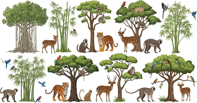 Wildlife jungle animals with trees and bamboo vector illustration set featuring tiger deer monkey birds forest nature