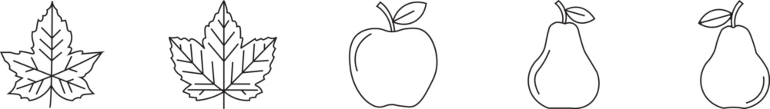 Five detailed line drawings of ancient amphorae vessels archaeological artifacts pottery forms