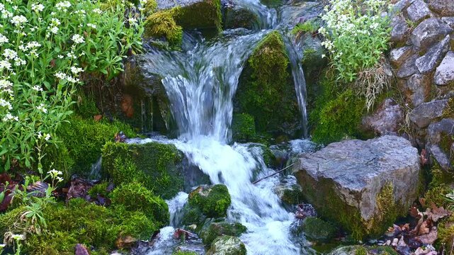Mountain spring water cascading over mossy rocks in woodland stream
