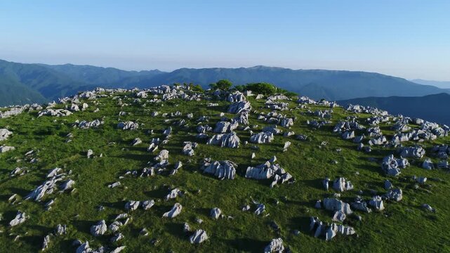 四国カルスト姫鶴牧場の石灰岩群と笠取山などの山並み