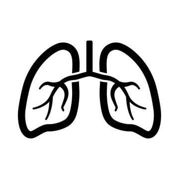 A minimalist vector graphic illustration of human lungs with trachea