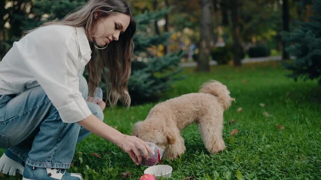 A young woman pours water from a plastic bottle into a bowl for her small dog to drink. They are together in a park setting. The dog enjoys a refreshing drink on a warm day.
