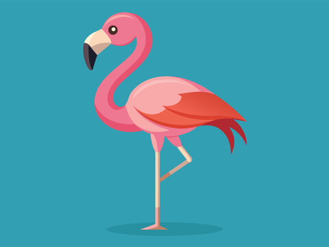 Flamingo standing on one leg on plain teal background