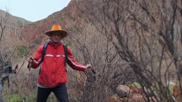 front hiker walking through narrow path between bushes, reaching hand forward as if inviting or guiding, concept of connection, leadership, trust and shared journey in nature