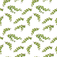 Fototapeta premium seamless pattern of betel leaves with lush tropical elegance