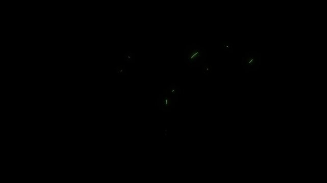 Neon uterus animation green glowing female reproductive system loop