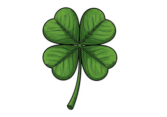 Fototapeta premium Four leaf clover isolated on transparent background