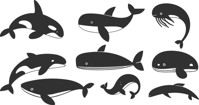 Collection of minimalist whale silhouettes including orca killer whales, humpback whales, blue whales, and sperm whales isolated on white background for marine life design projects.
