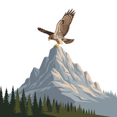 Fototapeta premium Majestic Hawk Perched on Mountain Peak, Soaring Above Evergreen Forest