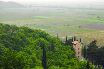 Fototapeta premium A rustic stone tower rises above a lush green forest overlooking patchwork vineyards and farmland, creating a peaceful rural landscape full of texture, depth and tranquil agricultural scenery. Georgia
