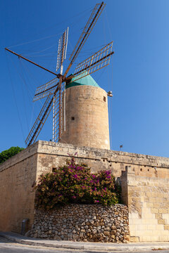 An old stone windmill with wooden sails perched on a sunlit limestone building, vibrant bougainvillea in bloom and deep blue sky creating a peaceful, timeless village scene of Malta. Vertical photo