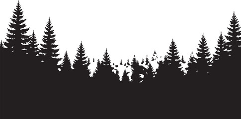 Silhouette of a dense pine forest with evergreen trees against a clear white background. © MD