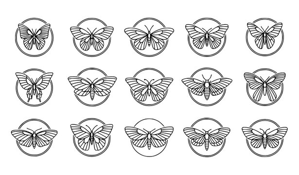 Elegant butterfly and moth line art logo collection with luxury emblem style vector designs isolated on white background
