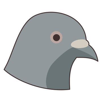 Illustration of a pigeon head representing the diurnal chronotype. Stylized bird profile icon for circadian rhythm and sleep pattern classification. Simple graphic for biology concept