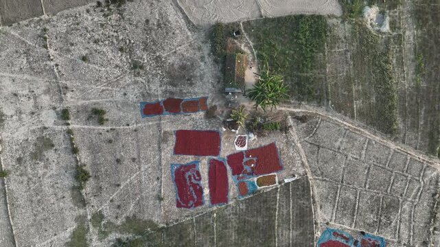 Aerial view of red chili peppers drying on rural farmland