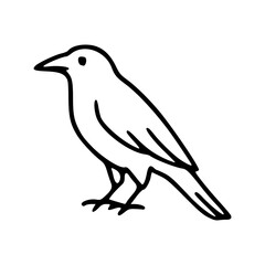 Obraz premium simple crow bird minimalist line art illustration