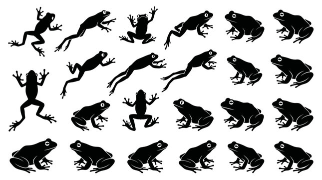 Collection of black frog silhouettes in various jumping and sitting poses isolated on white background, concept for nature illustration, wildlife education and conservation branding
