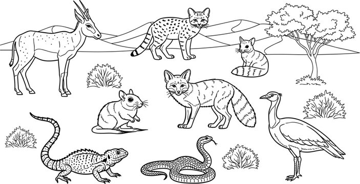 African Savanna Wildlife Scene with Gazelle, Genet, Sand Fox, Gerbil, Lizard, Snake, and Bustard in Black and White Line Art
