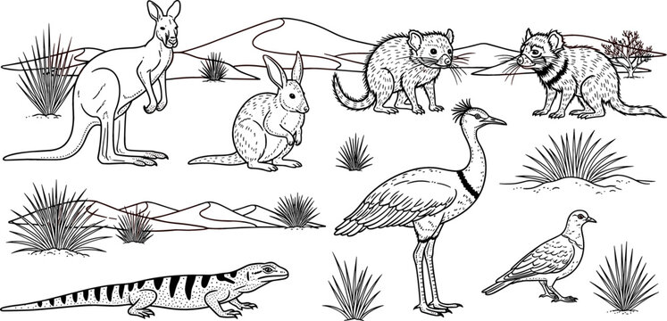 Australian Outback Wildlife Scene with Kangaroo, Bilby, Quoll, Bustard, Monitor Lizard, and Dove in Black and White Line Art