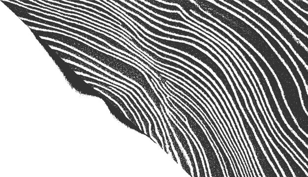 Monochrome abstract pattern of wavy parallel lines with grainy texture on a white background