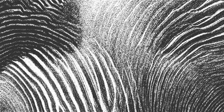 Black and white textured background with curved parallel lines and grainy effect abstract
