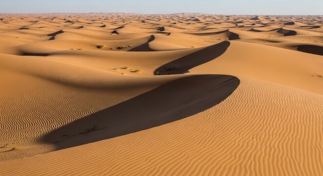 Sculpted Sand Dunes in a Vast Desert Landscape Showcasing Nature's Wind-Carved Patterns
