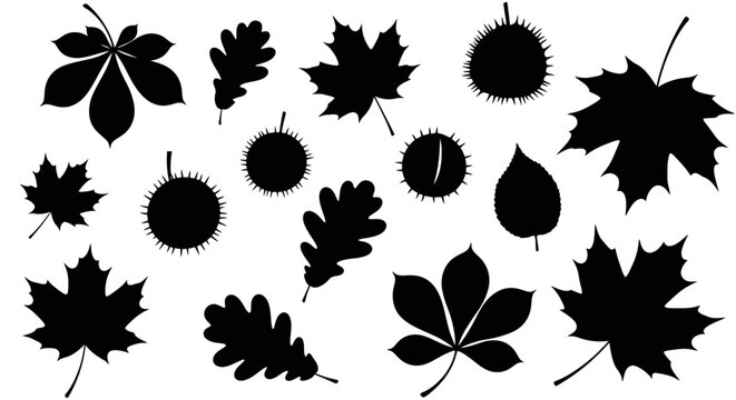 Black Silhouette Collection of Autumn Leaves and Horse Chestnuts Symbolizing Fall Season