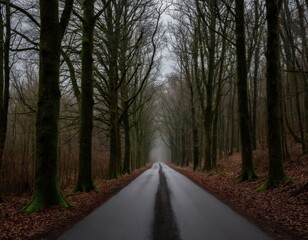 Fototapeta premium Narrow asphalt road lined with tall trees and bare branches, leading into a foggy forest landscape during a cloudy day in autumn season