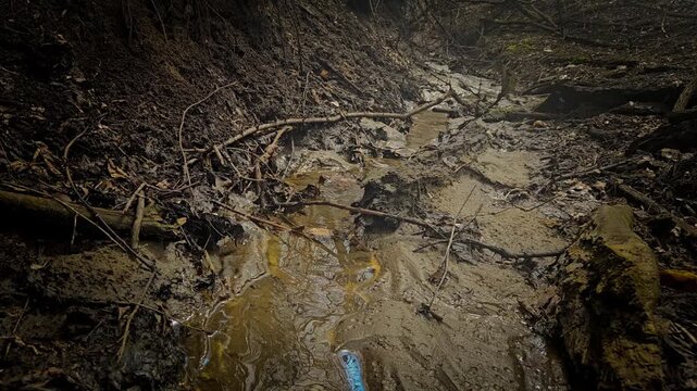 Stormwater Management System: Open Drainage Trench Flowing Toward Woodland Stream