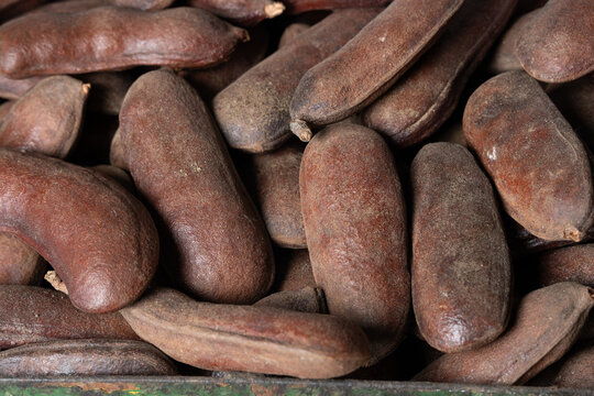 Carob; Tropical fruit called Jatoba - Hymenaea courbaril