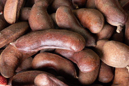 Carob; Tropical fruit called Jatoba - Hymenaea courbaril