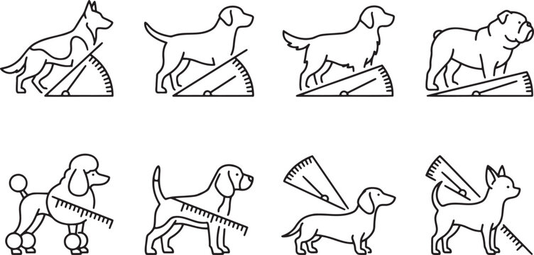Collection of dog breeds being measured for size and height using geometry tools