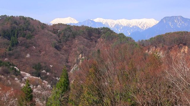 桜仙峡の桜と常念岳など北アルプス
