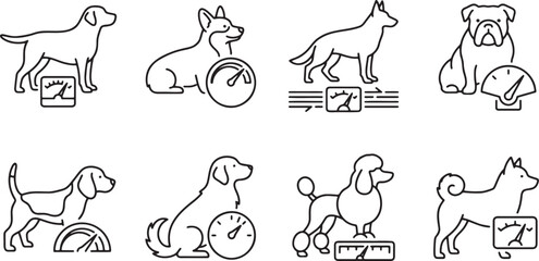 Fototapeta premium Performance monitoring dogs using various technical gauges and meters