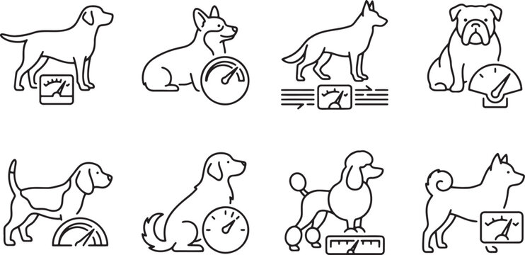 Performance monitoring dogs using various technical gauges and meters