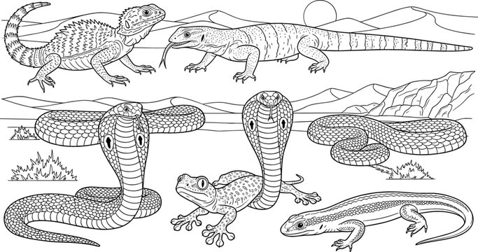 Desert Wildlife Illustration Featuring Snakes, Lizards, and Frogs in a Natural Habitat