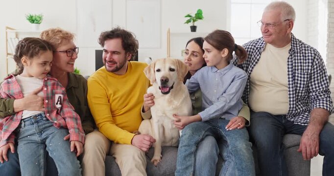 Family grandparents parents children with labrador together. Warm home moment as relatives talking, petting the dog to show bonding and unity. Clear multigenerational family bonding concept.