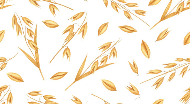 Seamless pattern of golden oat stalks and grains on a white background, watercolor illustration