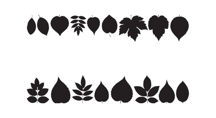 Fototapeta premium Assortment of diverse black leaf silhouettes from different tree and plant species, botanical collection.