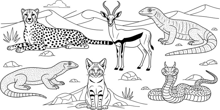 Wildlife Safari Vector Set with Cheetah, Antelope, Lizard, Snake, and Desert Animals