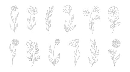 Fototapeta premium Hand drawn floral doodle set with line art flowers and botanical elements
