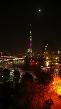 スカイツリーと隅田公園の桜と隅田川橋梁のライトアップと月