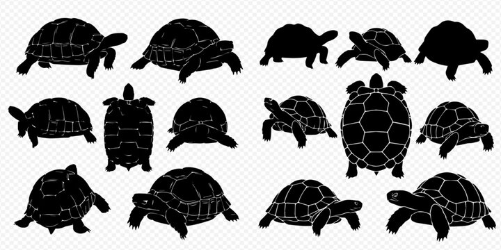 Collection of black tortoise silhouettes in various poses and perspectives, isolated on a transparent background, perfect for design elements.