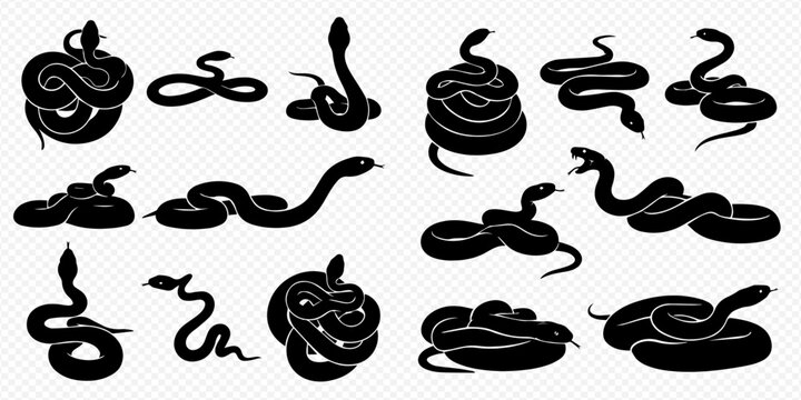 Set of black snake silhouettes in various poses, isolated on a transparent background, representing different species and movements.