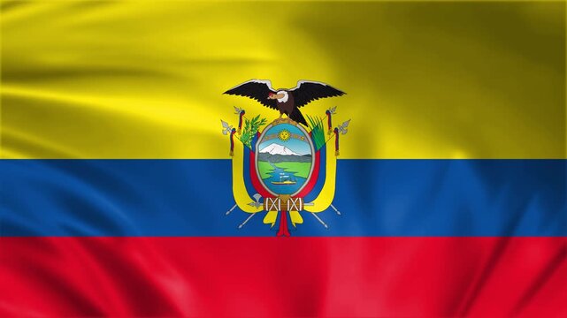 Ecuador flag waving in the win full screen 3d animation loop seamless animation. good for background waiting screen