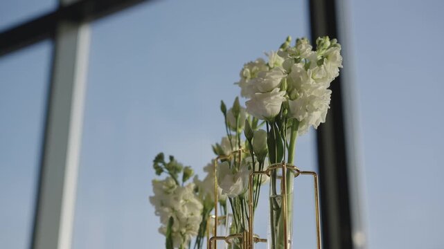 Bouquet of white eustoma flowers in a beautiful sophisticated golden vase on the background of a window with a blue sky