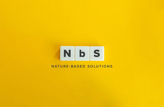 NbS Nature Based Solutions Environmental Sustainability Climate Change Mitigation Ecosystem Restoration Biodiversity Conservation Green Infrastructure Sustainable Development Concept Yellow Background