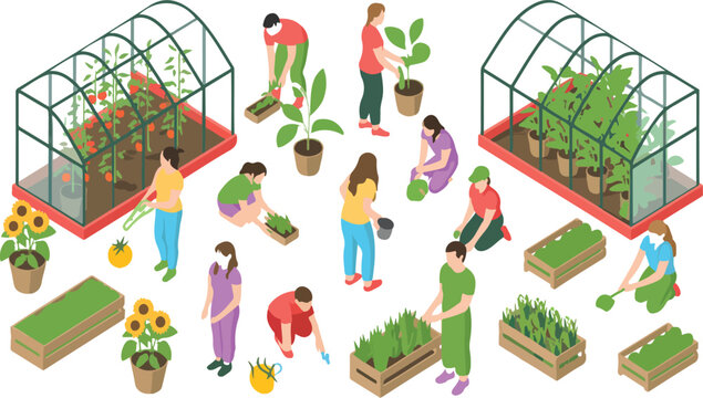 Isometric garden and farming plant set with greenhouse, pumpkin, tomato and pepper, organic harvest season outdoor activity vector illustration isolated