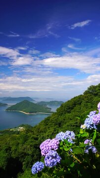 紫雲出山のアジサイと粟島などの島々